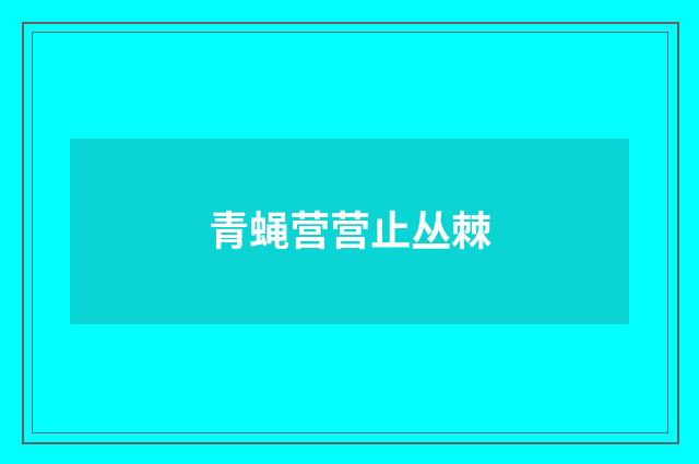 青蝇营营止丛棘