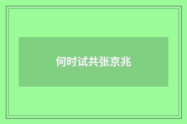 何时试共张京兆