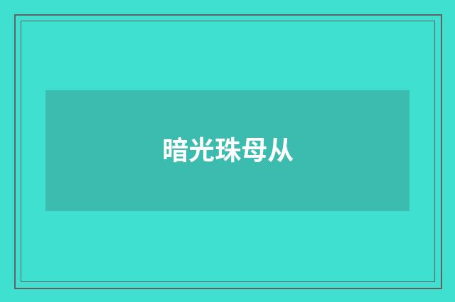 暗光珠母从