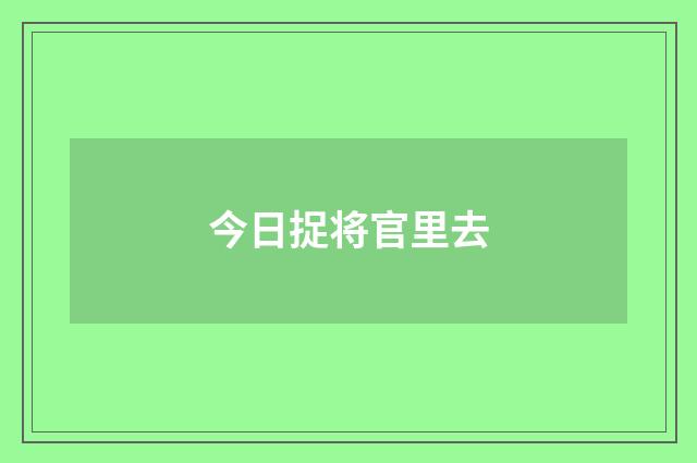 今日捉将官里去