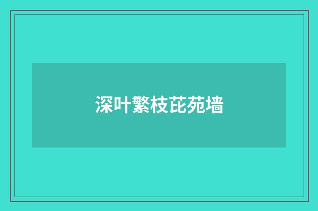 深叶繁枝芘苑墙