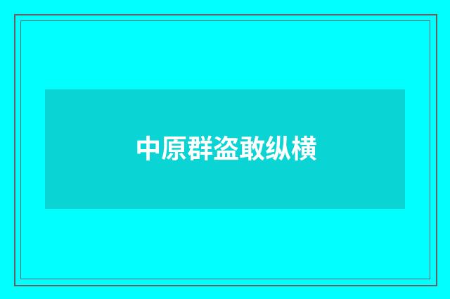 中原群盗敢纵横
