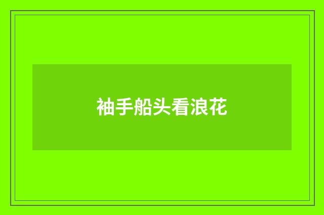 袖手船头看浪花