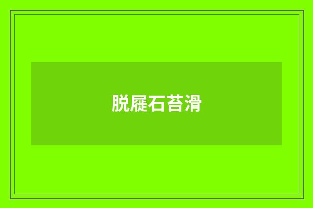 脱屣石苔滑