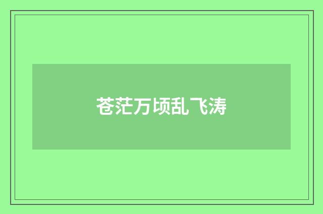 苍茫万顷乱飞涛