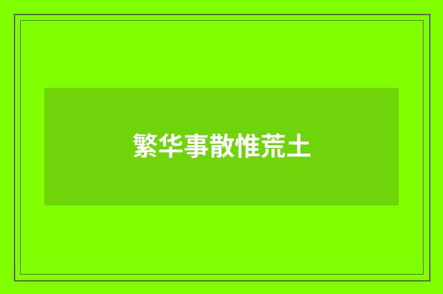 繁华事散惟荒土