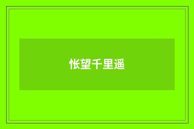 怅望千里遥