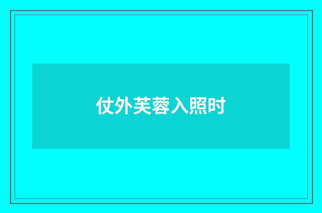 仗外芙蓉入照时