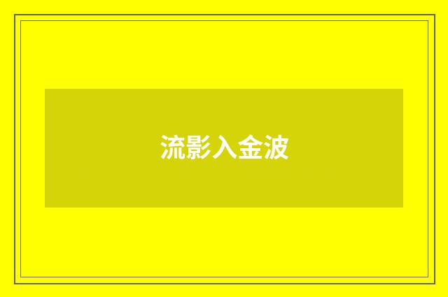 流影入金波
