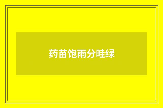药苗饱雨分畦绿