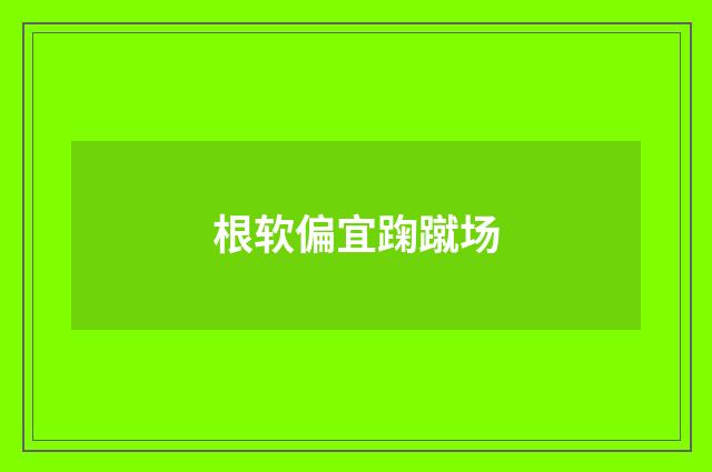 根软偏宜踘蹴场