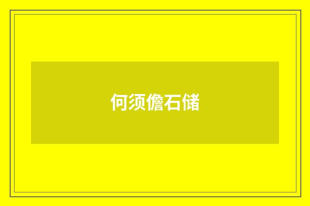 何须儋石储