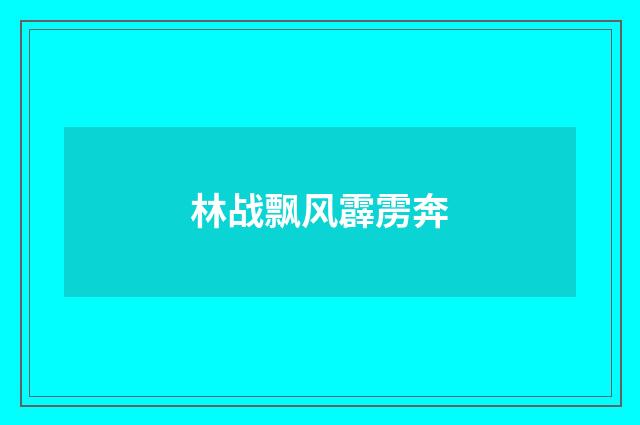 林战飘风霹雳奔