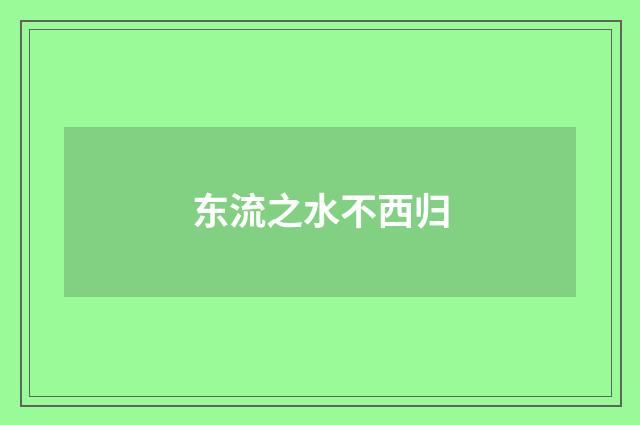 东流之水不西归