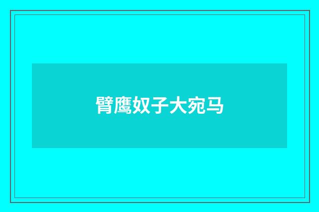 臂鹰奴子大宛马