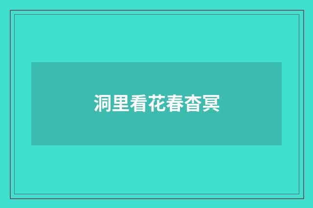 洞里看花春杳冥