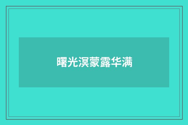曙光溟蒙露华满