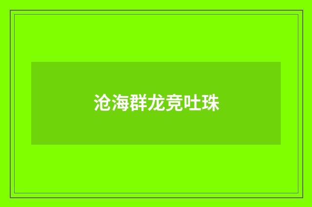 沧海群龙竞吐珠