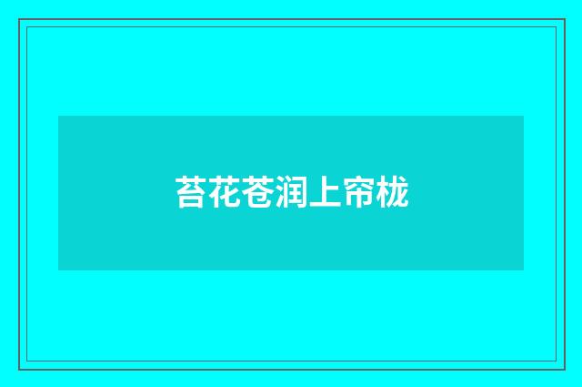 苔花苍润上帘栊