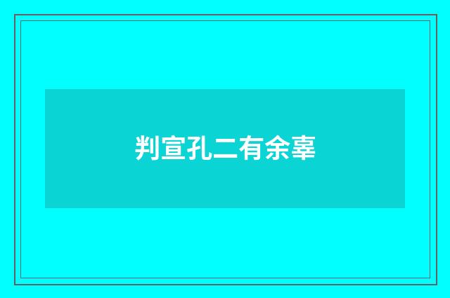 判宣孔二有余辜