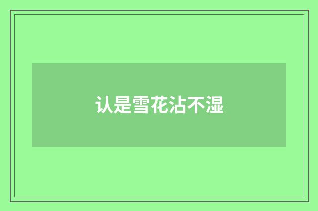 认是雪花沾不湿