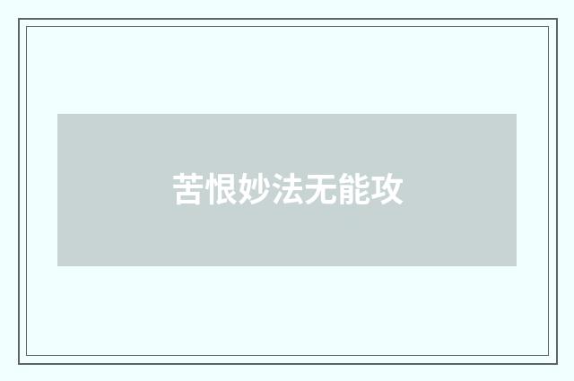 苦恨妙法无能攻