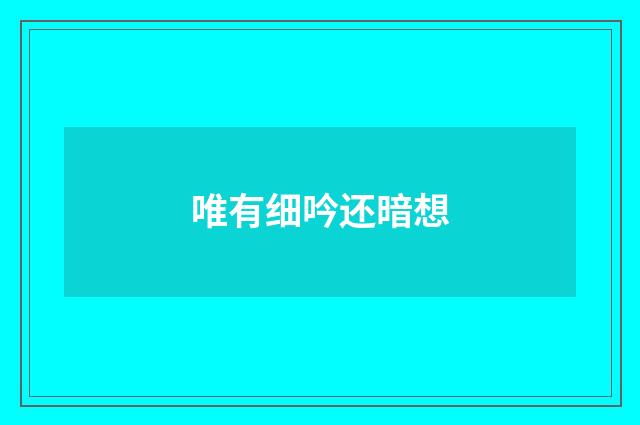 唯有细吟还暗想