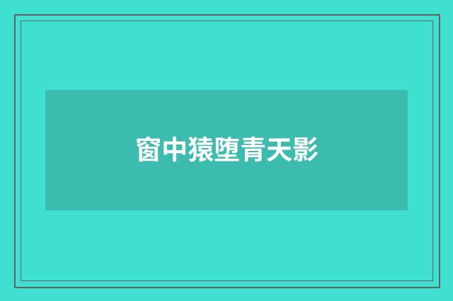 窗中猿堕青天影