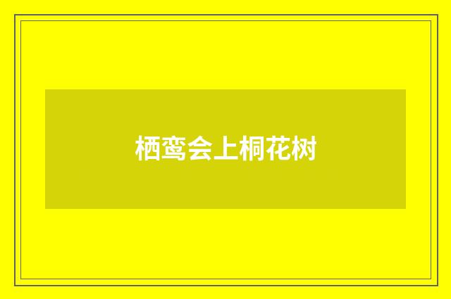 栖鸾会上桐花树