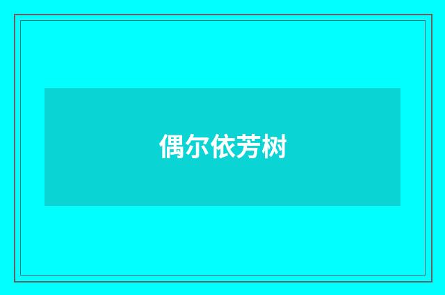 偶尔依芳树