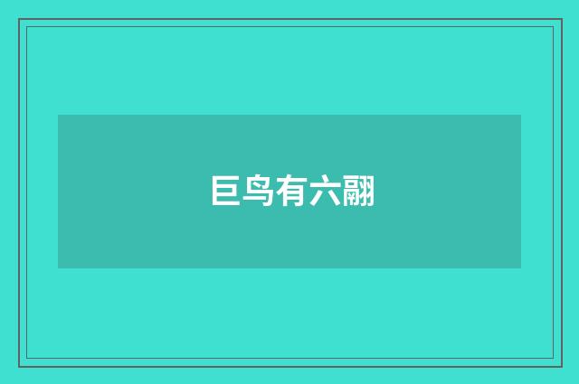 巨鸟有六翮