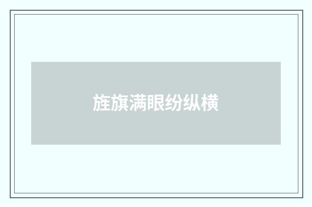 旌旗满眼纷纵横