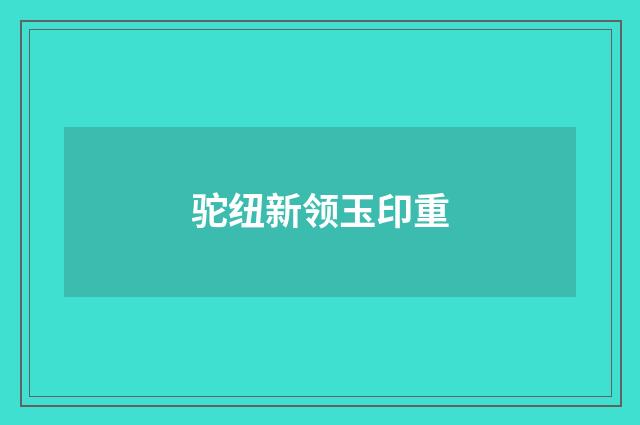 驼纽新领玉印重