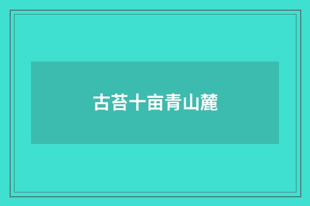 古苔十亩青山麓