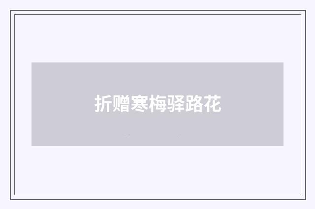 折赠寒梅驿路花