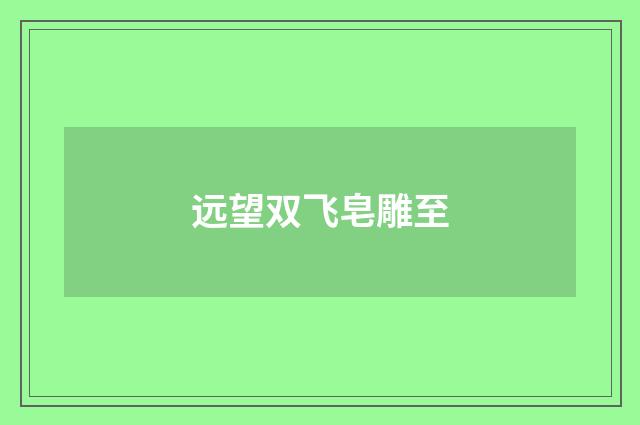 远望双飞皂雕至