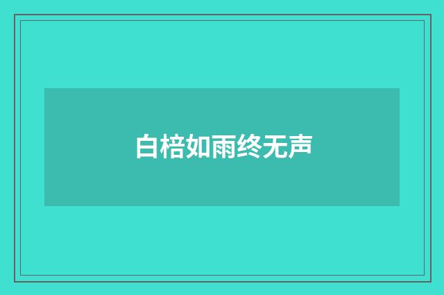白棓如雨终无声