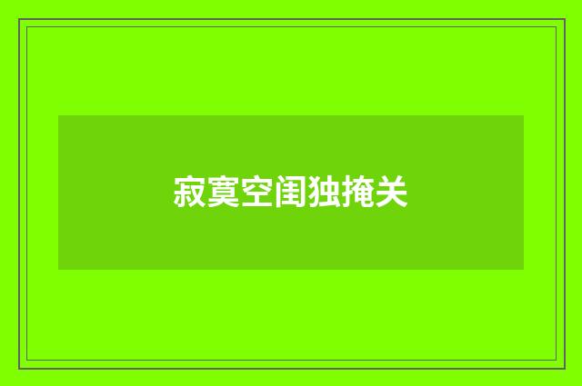 寂寞空闺独掩关