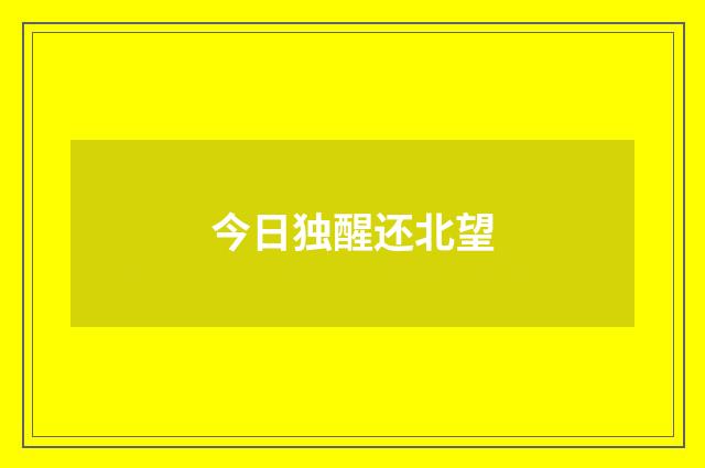 今日独醒还北望