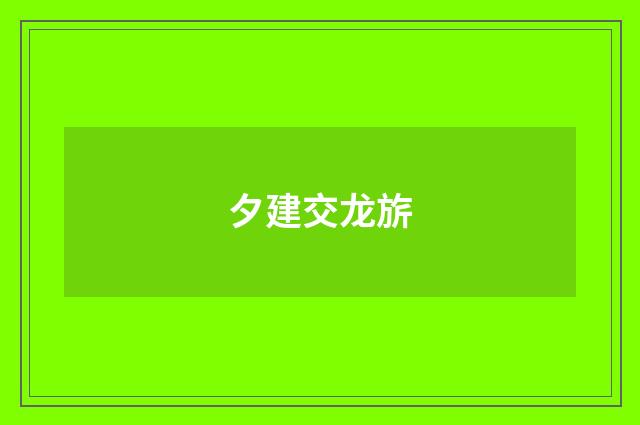 夕建交龙旂