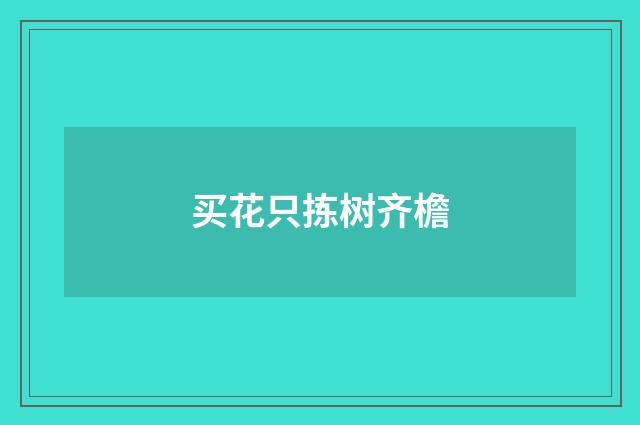 买花只拣树齐檐