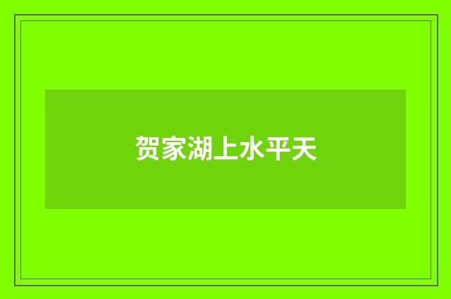 贺家湖上水平天
