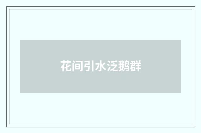 花间引水泛鹅群