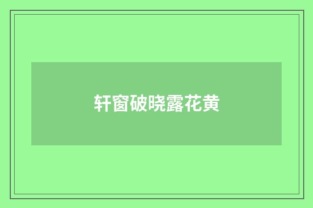 轩窗破晓露花黄