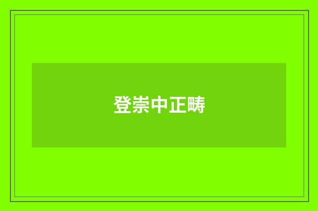 登崇中正畴