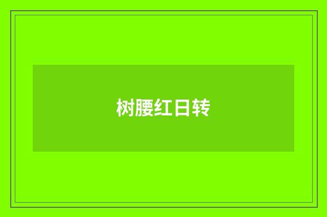 树腰红日转