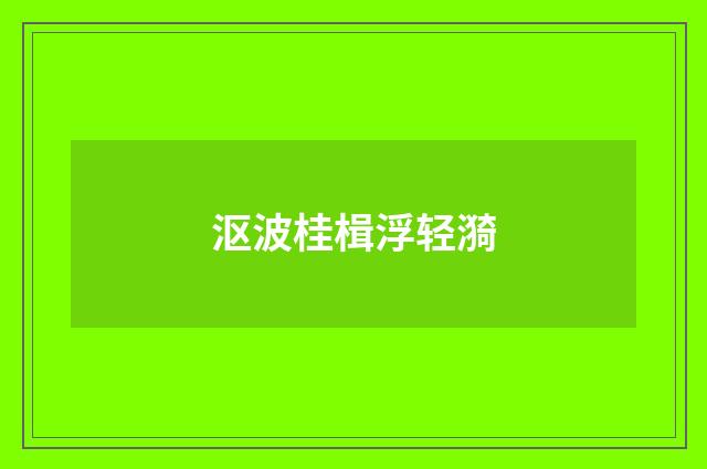 沤波桂楫浮轻漪