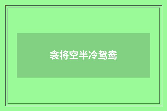 衾将空半冷鸳鸯