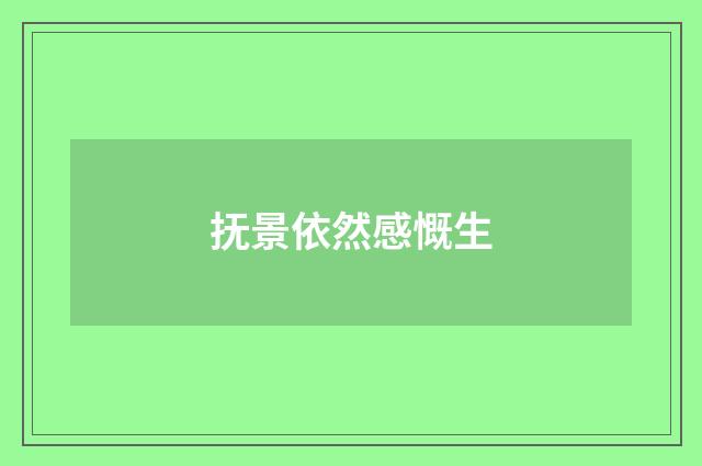 抚景依然感慨生