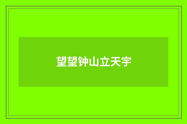 望望钟山立天宇